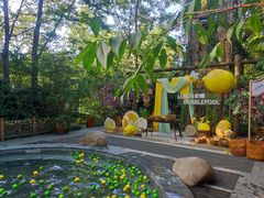 -天目湖御水温泉·度假酒店