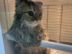 -圣宠动物医院·犬猫专科·影像中心·外科中心