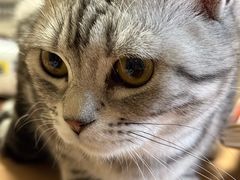-贝康宠物医院·犬猫全科·小动物特色诊疗中心(东环路店)
