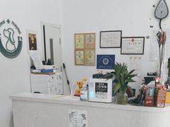 -中农国际动物医院24小时·猫科·骨科·急重症中心