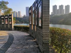 -重庆彩云湖湿地公园