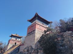 -颐和园