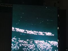 -成都金融城演艺中心