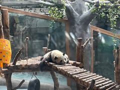 -青藏高原野生动物园