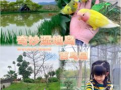 -森波拉火山温泉