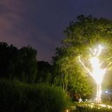 7.1戒严的街