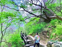 -云台山风景名胜区