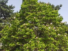 -国家植物园南园