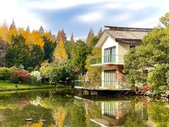 -上海植物园-4号门售票处