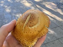 -绿岛汤泉韩式休闲会所