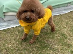 -WEPARK 芳草寓