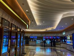 -英皇电影城(英皇集团中心IMAX店)