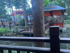 -二荆条·蜀鲜汇城市森林火锅