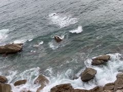 -广东惠东海龟国家级自然保护区