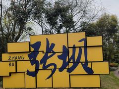 -张坝桂圆林公园