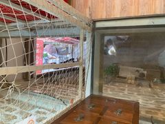 -石头会唱歌融来+北港岚台两岸交流中心