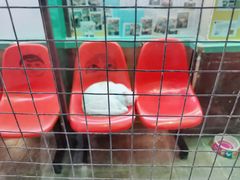 -猫咪博物馆(顶澳仔猫街店)