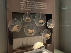 -诸暨博物馆
