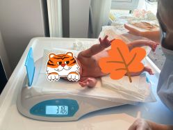 -喜孕时光月子中心(北大妇儿东侧店)