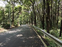 -青龙山国家森林公园