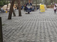 -铁山坪森林公园