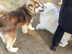 -龙美术馆西岸馆-停车场