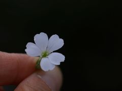 -尚贤河湿地
