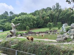 -宁波野生动物园