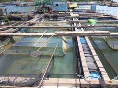 -海上驿站渔家菜馆