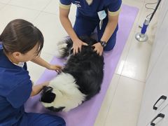-福州肆爪动物医院