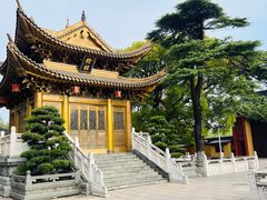 -上海东林寺(金山区)