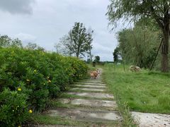 -中国天府农业博览园