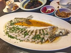 野生白水鱼-通安客栈中餐厅·何家小馆