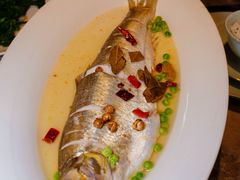 -同仁堂粹和餐厅·食养养生宴(新大都店)