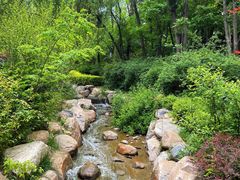 -大连植物园