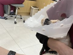 -美联众合动物医院·24h京西诊疗中心