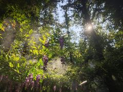 -英西峰林走廊老虎谷溶洞漂流