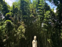 -望江楼公园