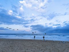 -黄金海岸