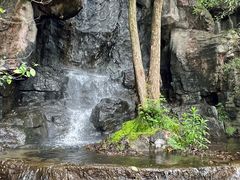 -天目湖山水园