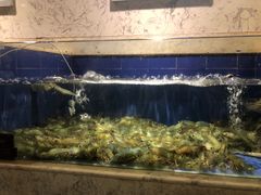 -徐记海鲜(陕西历史博物馆|明德门店)