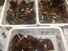 -郑庄脂渣海鲜楼(九水路店)