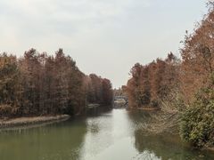 -上海海湾国家森林公园