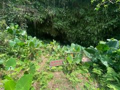 -海口火山口国家地质公园