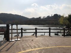 -宁波野生动物园