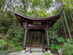 -十八棵（老龙井）御茶园(老龙井店)