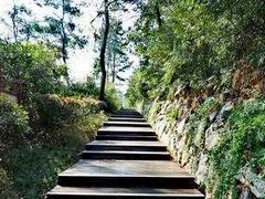 -游子山休闲旅游区