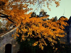 -惠山古镇·寄畅园