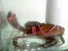 -福鑫源海鲜烧烤