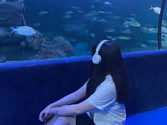 -左海海底世界